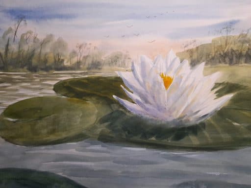 water-lilly in watercolor